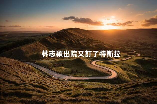 林志穎出院又訂了特斯拉